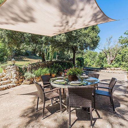 Villa Picassa Pollensa Exterior foto